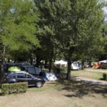 Staanplaatsen van de camping